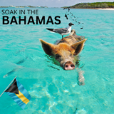 Medicine Springs Mineral Therapy Bahamas Formula (Hot Tub) - Macke Pool & Patio
