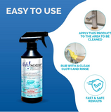 Ahh-Some Spray Cleaner and Deodorizer - 16oz - Macke Pool & Patio