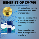 Orenda CV-700 Enzyme + Phosphate Remover - Macke Pool & Patio