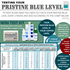 Pristine Blue Mini Test Kit & Pristine Strips Bundle Pack - Macke Pool & Patio